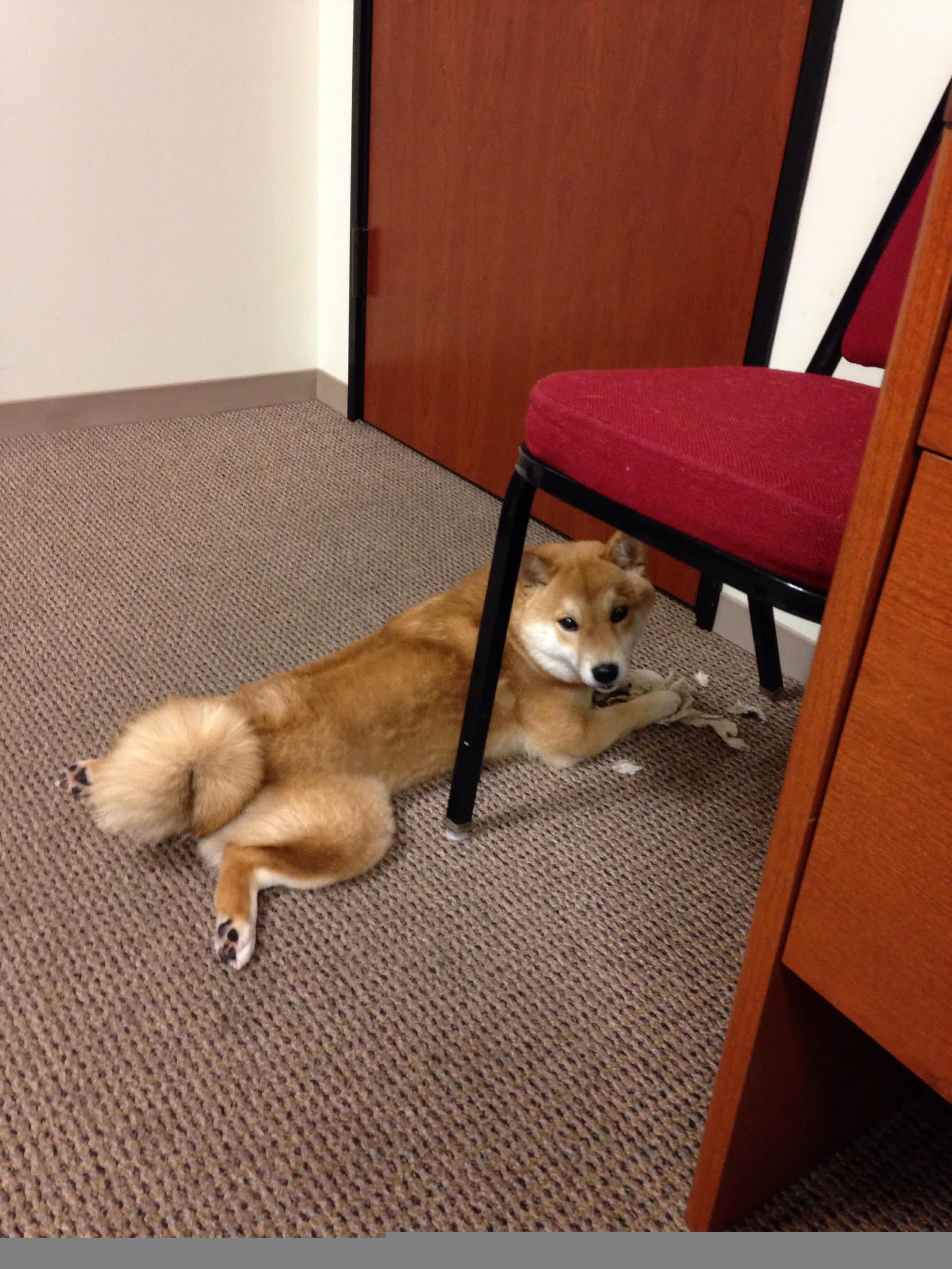 2026 世界杯场馆周边的球迷区(Fan Zone)坐标大全。,2022世界杯球场分布